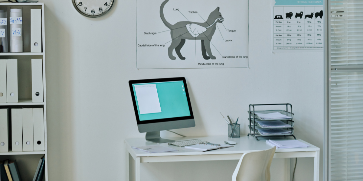Cost Segregation Case Study for Veterinary Clinic Owners